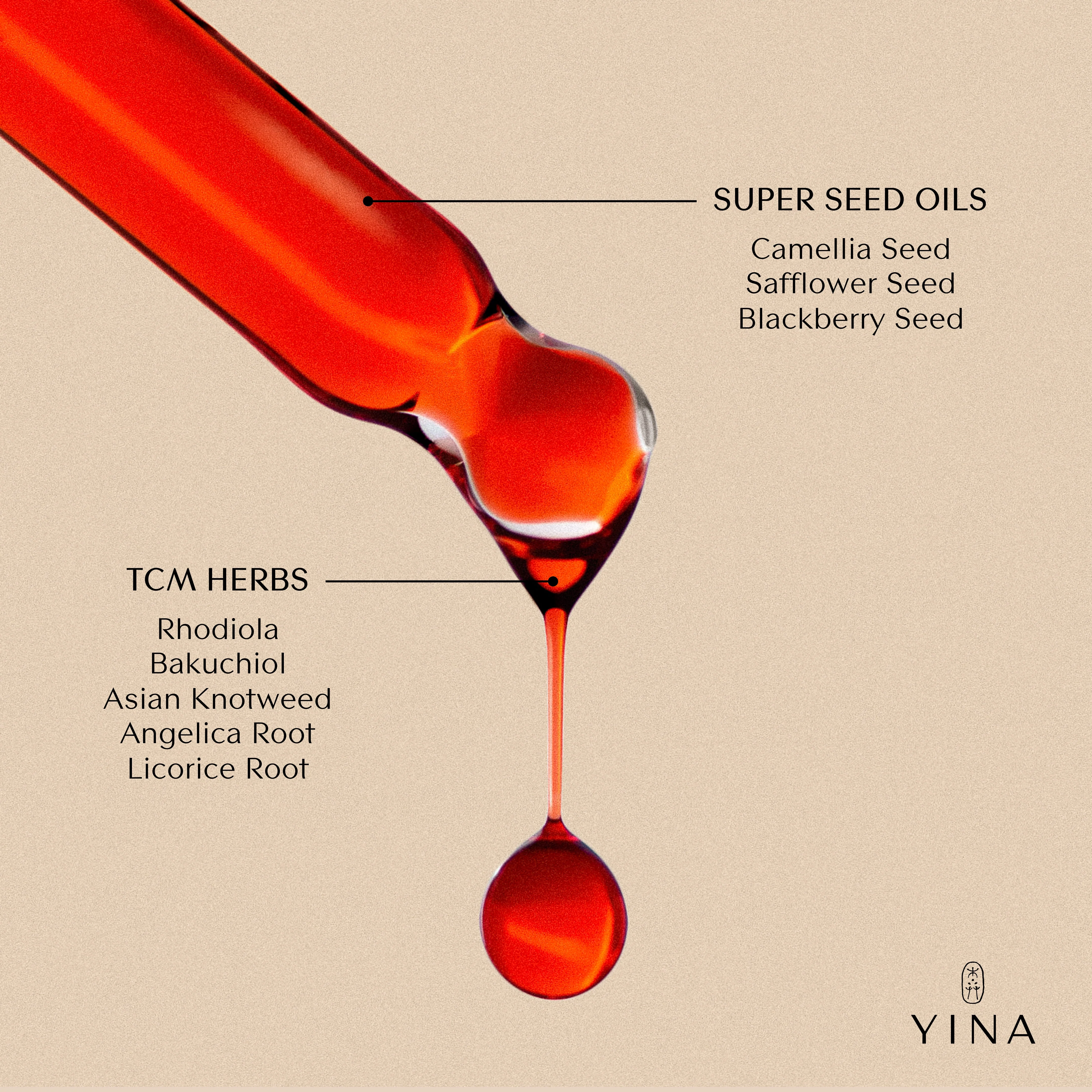 Nourish Botanical Serum - Image 2