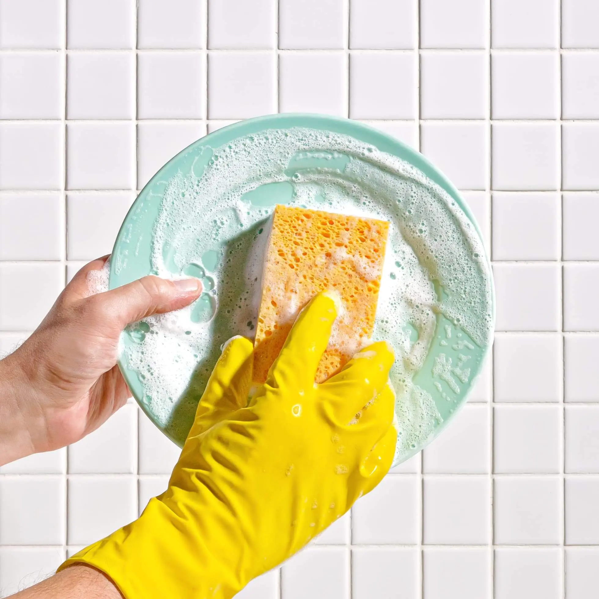 Element Brooklyn: Plant-Based Kitchen Sponges - Image 3