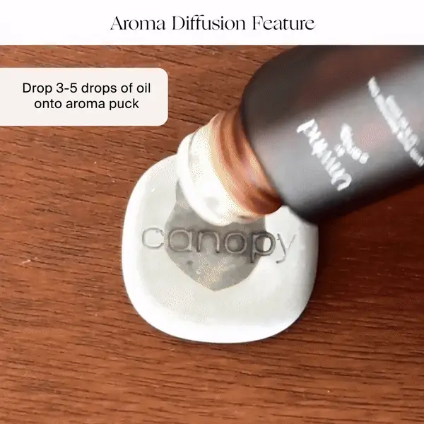 Canopy: Portable Humidifier - Image 12